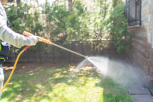 Best Bird Control  in Brooklyn Center, MN
