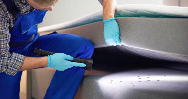 Best Pest Control Treatment  in Brooklyn Center, MN