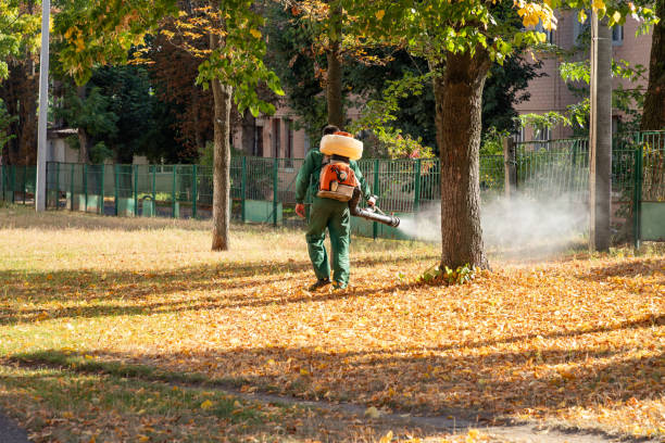 Pest Prevention Services in Brooklyn Center, MN