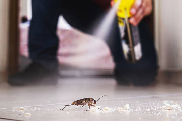 Pest Prevention Services in Brooklyn Center, MN